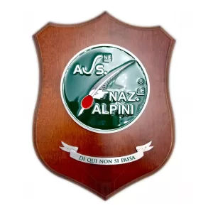 Crest Associazione Nazionale Alpini. Foto frontale.